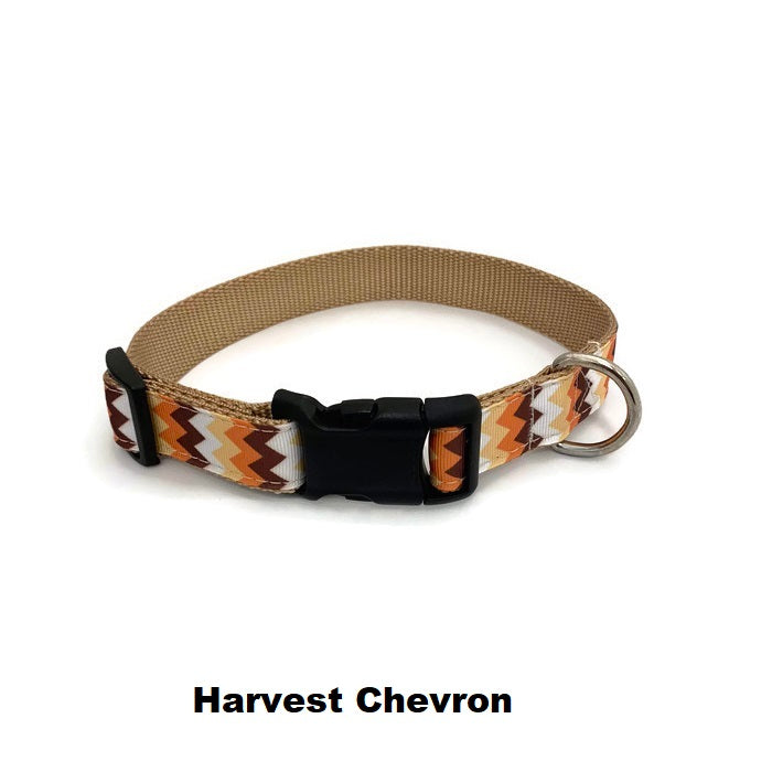 Halzband Dog Collar with Harvest Chevron Theme