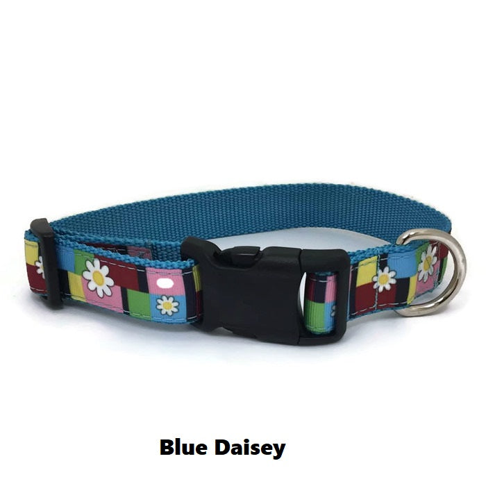 Halzband Dog Collar with Blue Daisey Theme